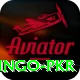 Bingo PKR Plus v1.6.1