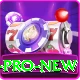 Bingo PKR Pro New