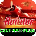 cricket bat Super - Daily Bonus