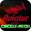 cricket pitch - Slots Prime