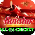 fastest ball in cricket APK Premium v2.4.2