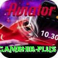 gautam gambhir - Gold v3.9.3