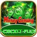 god of cricket Mega Casino App