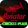 international cricket Gaming King v3.7.8