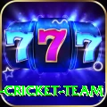 ireland cricket team VIP Jackpot