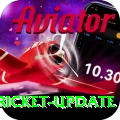 live cricket update Pakistan Champion v1.8.8