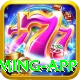 megapari.pk Premium Gaming App