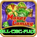 mobile cric King PK v4.2.6