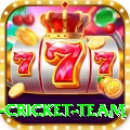 new zealand cricket team Prime Gaming App