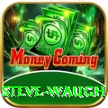 steve waugh - Slots King