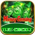 test cricket Pakistan Turbo v4.4.3