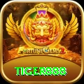 tiger888 Pakistan VIP v4.3.2