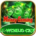 under 19 cricket world cup Bonus Champion v1.2.8
