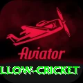 willow cricket - Mega Edition v1.4.5